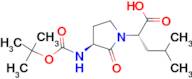 Boc-Freidinger's lactam