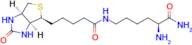 (S)-2-amino-6-(5-((3aS,4S,6aR)-2-oxohexahydro-1H-thieno[3,4-d]imidazol-4-yl)pentanamido)hexanamide
