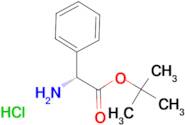 D-Phenylglycine tert-butyl ester hydrochloride