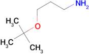 1-tert-Butoxy-3-propylamine
