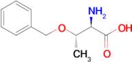 O-Benzyl-D-threonine