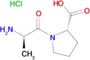 D-Ala-Pro-OH·HCl