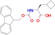 Fmoc-b-cyclobutyl-L-alanine