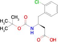 Boc-2-chloro-L-b-homophenylalanine