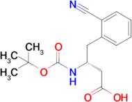 Boc-2-cyano-D-b-homophenylalanine