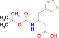 Boc-(3-thienyl)-D-b-homoalanine