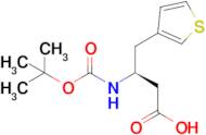 Boc-(3-thienyl)-L-b-homoalanine