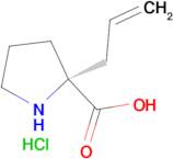 (R)-a-Allylproline·HCl