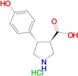 (±)-trans-4-(4-Hydroxyphenyl)pyrrolidine-3-carboxylic acid hydrochloride