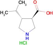 (±)-trans-4-Isopropylpyrrolidine-3-carboxylic acid hydrochloride