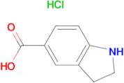 2,3-Dihydro-1H-indole-5-carboxylic acid hydrochloride