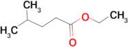 Ethyl 4-methylvalerate