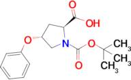 (2S,4R)-Boc-4-phenoxy-pyrrolidine-2-carboxylic acid