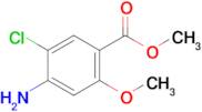 4-Amino-5-chloro-o-anisic acid methyl ester