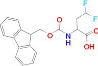 (R,S)-Fmoc-2-amino-4,4-difluoro-butyric acid