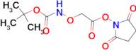 N-Boc-aminooxyacetic acid N-hydroxysuccinimide ester