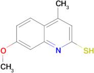 7-methoxy-4-methylquinoline-2-thiol