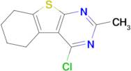 4-Chloro-2-methyl-5,6,7,8-tetrahydro-benzo[4,5]thieno[2,3-d]pyrimidine