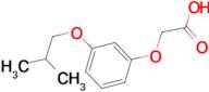 2-(3-isobutoxyphenoxy)acetic acid