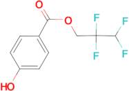 4-Hydroxy-benzoic acid 2,2,3,3-tetrafluoro-propyl ester