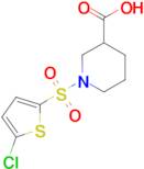 1-[(5-Chloro-2-thienyl)sulfonyl]piperidine-3-carboxylic acid