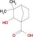 2-hydroxy-3,3-dimethylbicyclo[2.2.1]heptane-1-carboxylic acid