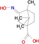 3-[(E)-Hydroxyimino]-4,7,7-trimethyl-bicyclo[2.2.1]heptane-1-carboxylic acid