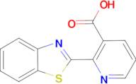 2-Benzothiazol-2-yl-nicotinic acid