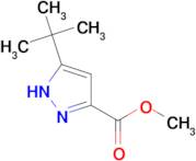 methyl 3-tert-butyl-1H-pyrazole-5-carboxylate