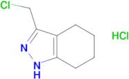 3-(chloromethyl)-4,5,6,7-tetrahydro-1H-indazole hydrochloride