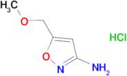 5-(methoxymethyl)isoxazol-3-amine hydrochloride