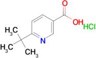 6-(tert-butyl)nicotinic acid hydrochloride