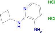 N2-cyclobutylpyridine-2,3-diamine dihydrochloride