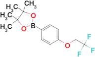 4,4,5,5-tetramethyl-2-(4-(2,2,2-trifluoroethoxy)phenyl)-1,3,2-dioxaborolane