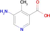 5-Amino-4-methylnicotinic acid