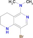 8-bromo-N,N-dimethyl-1,2,3,4-tetrahydro-1,6-naphthyridin-5-amine