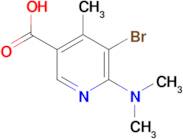 5-bromo-6-(dimethylamino)-4-methylnicotinic acid