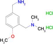 1-(5-(aminomethyl)-2-methoxyphenyl)-N,N-dimethylmethanamine dihydrochloride