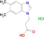 3-(5,6-Dimethyl-1H-benzimidazol-1-yl)propanoic acid hydrochloride