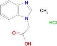 2-(2-methyl-1H-benzo[d]imidazol-1-yl)acetic acid hydrochloride