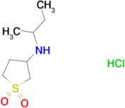 N-(sec-Butyl)tetrahydrothiophen-3-amine 1,1-dioxide hydrochloride