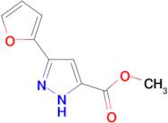 methyl 3-(2-furyl)-1H-pyrazole-5-carboxylate