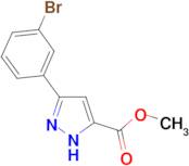methyl 3-(3-bromophenyl)-1H-pyrazole-5-carboxylate