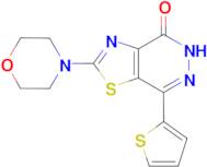 2-morpholin-4-yl-7-(2-thienyl)[1,3]thiazolo[4,5-d]pyridazin-4(5H)-one