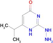2-hydrazino-6-isopropylpyrimidin-4(3H)-one