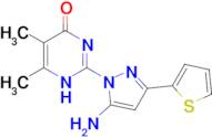 2-[5-amino-3-(2-thienyl)-1H-pyrazol-1-yl]-5,6-dimethylpyrimidin-4(3H)-one