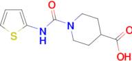 1-[(2-thienylamino)carbonyl]piperidine-4-carboxylic acid