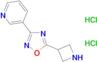 3-(5-azetidin-3-yl-1,2,4-oxadiazol-3-yl)pyridine dihydrochloride