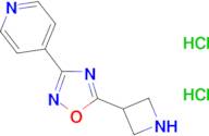 4-(5-azetidin-3-yl-1,2,4-oxadiazol-3-yl)pyridine dihydrochloride