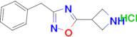 5-azetidin-3-yl-3-benzyl-1,2,4-oxadiazole hydrochloride